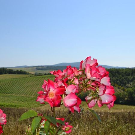 Willa Agriturismo Cignanbianco Castellina in Chianti Zewnętrze zdjęcie