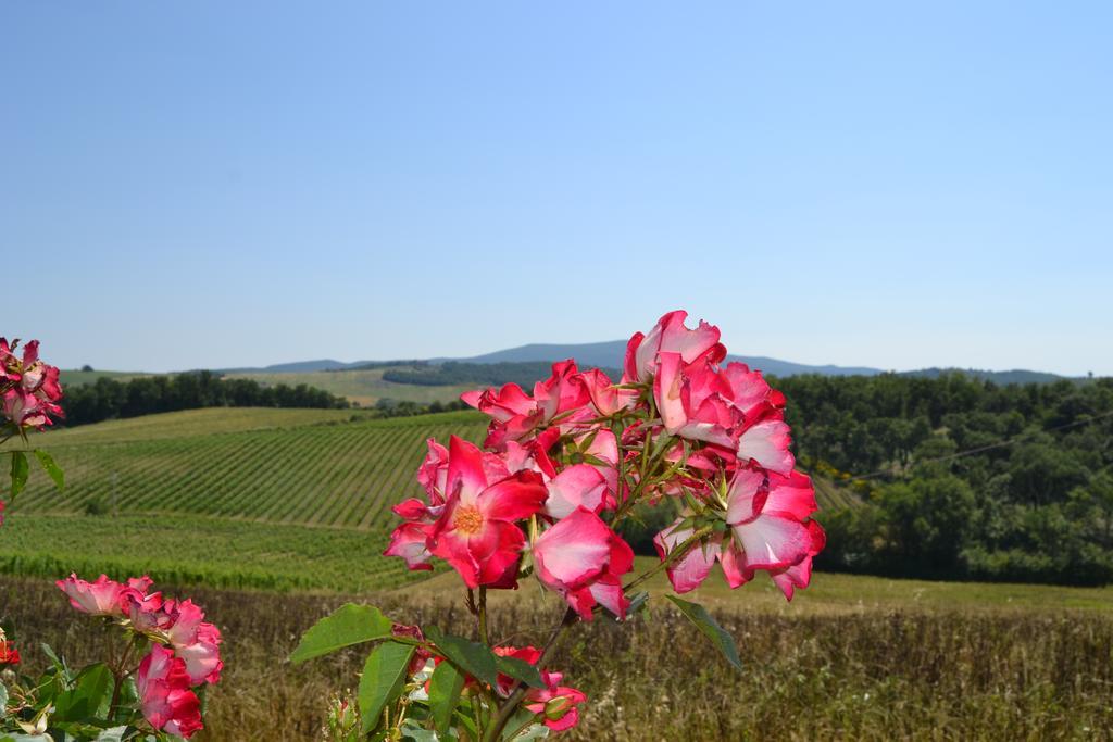 Willa Agriturismo Cignanbianco Castellina in Chianti Zewnętrze zdjęcie